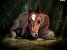 Nie sposub się nie zakochać