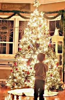 Kto ma już ubraną choinkę ?:-)