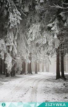 Gdzie ta piękna polska zima...