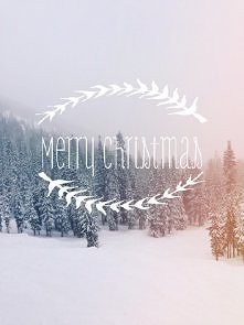 Wesołych Świąt ;*