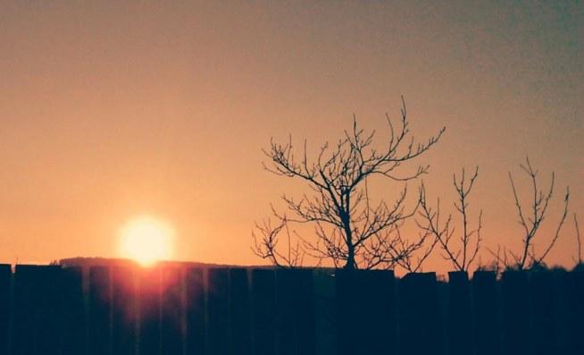 Słońce zza płotu :D