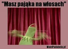 więcej na MamPodobnie.pl