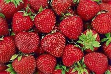 zapraszam na bloga
Domowe maseczki na piękną cerę :D