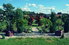 Ogród latem. Każda pora roku jest przepiękna!