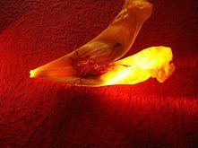 Szafran – odrobina luksusu i zdrowia