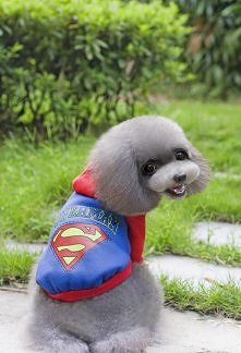 Buza Ubranko dla Psa:)
Cena 29,90