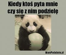 więcej na MamPodobnie.pl