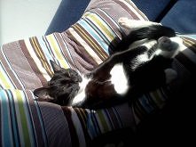 Weekend czas zacząć