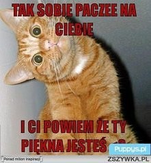 Dla wszystkich, którzy to w...