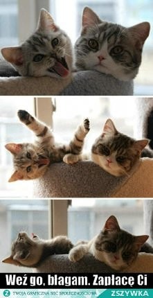 To jak ja i moja przyjaciół...