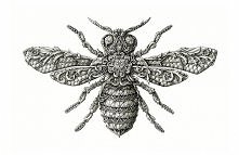 #doodle #zentagle #art #sztuka