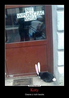 ach te koty