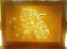 CZAPLA,podswietlany obraz