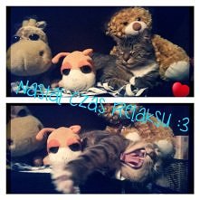 Relax , take it easy :3