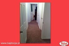 Poważnie, nie traktuj go jak kota.