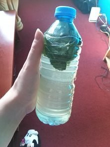 naturalny izotonik :-) (na ...