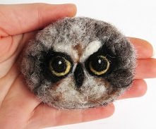 sowa wuszatka błotna