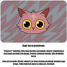 Już wiem , że moja kicia mn...