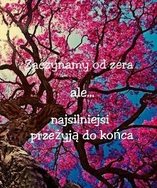 Jesteś silny ... !?