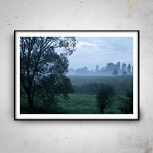 Good Evening 50x70