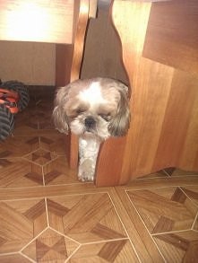 juź lepszego miejsca do spa...