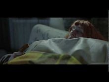 Gotuje- "Są baby, które non stop żrą"(Letni, Chamski Podryw)
Tak na wesoło :D