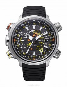 Zegarek Citizen BN4021-02E