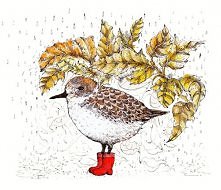 ptaki-vintage sezonowe