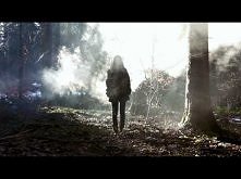 SOHN -Bloodflows
