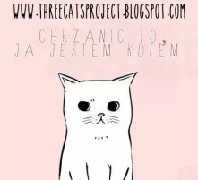 "Tego bloga prowadzą trzy przyjaciółki i zarazem trzy różne osobowości. Dlatego właśnie postanowiłyśmy przedstawić się w postaci kotów. Koty to wielkie indywidualności, a w...