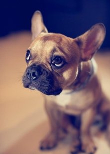 jaki słodziaczek *.*