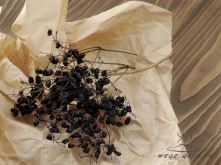 suszone owoce czarnego bzu do herbaty