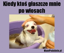 więcej na MamPodobnie.pl
