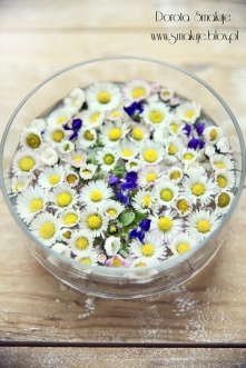 Owsianka kokosowa ze stokrotkami

Składniki na 2 osoby:
10 łyżek płatków owsianych górskich
łyżeczka siemienia lnianego (opcjonalnie)
2 łyżki wiórków kokosowych
mleko
miód
kwiat...