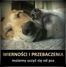 Wierności i przebaczenia...