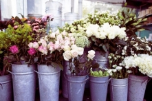 "Czasami człowiekowi się wydaje, że idzie ulicą marzeń, a przy jej 
końcu okazuje się, że to ślepa uliczka." 
~Piotr Adamczyk