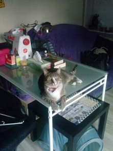 Czyzbys dopiero wyczyscila szklany blat stolu? Ooooo jak mi przykro...