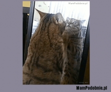 więcej na MamPodobnie.pl