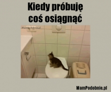 więcej na MamPodobnie.pl