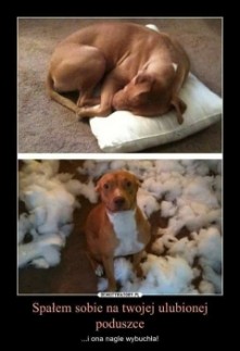 Hahahha :D słodziak :*