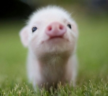 Zakochałam się *.* Chce go ...