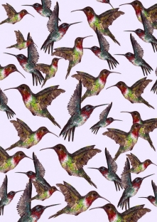 Kolibry