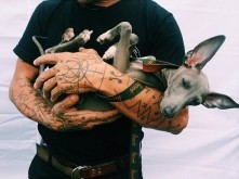 słodki piesek, proszę pana ...