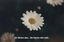 Dzisiaj obchodzimy Dzień Singla. Śmieszą mnie ludzie, w tym również i moi znajomi, którzy wyją do poduszki, że nie mają swojej drugiej połówki i są nic nie warte. Spokojnie, prę...