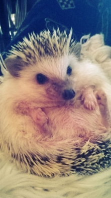 Hej Lasia , bolało jak spad...