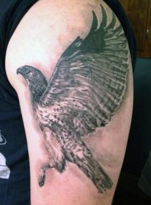 hawk arm tattoo