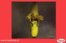 Bajdocja Kraina Zabawek poleca