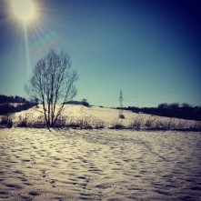 Bo nie ma to jak spacerek przy tak wspaniałej pogodzie i z tak dobrym towarzystwem <3