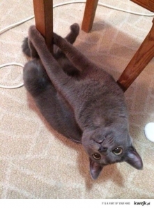 tańczę dla ciebie :D <3