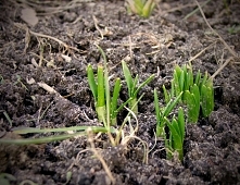 pomyslyznadwisly.blogspot.com
keep calm and wait for spring